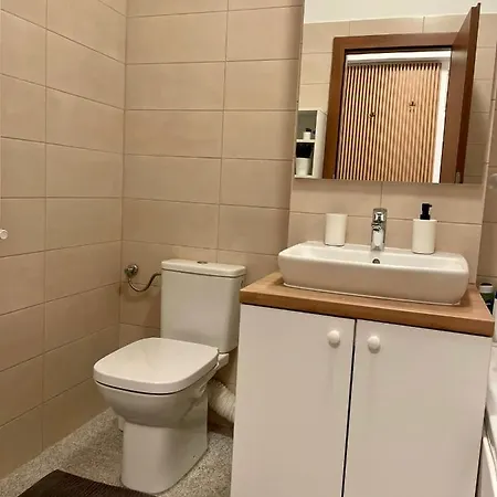 Apartment Confort 4 *