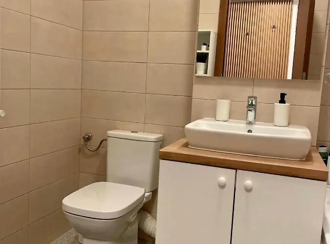 Appartamento Confort 4 *